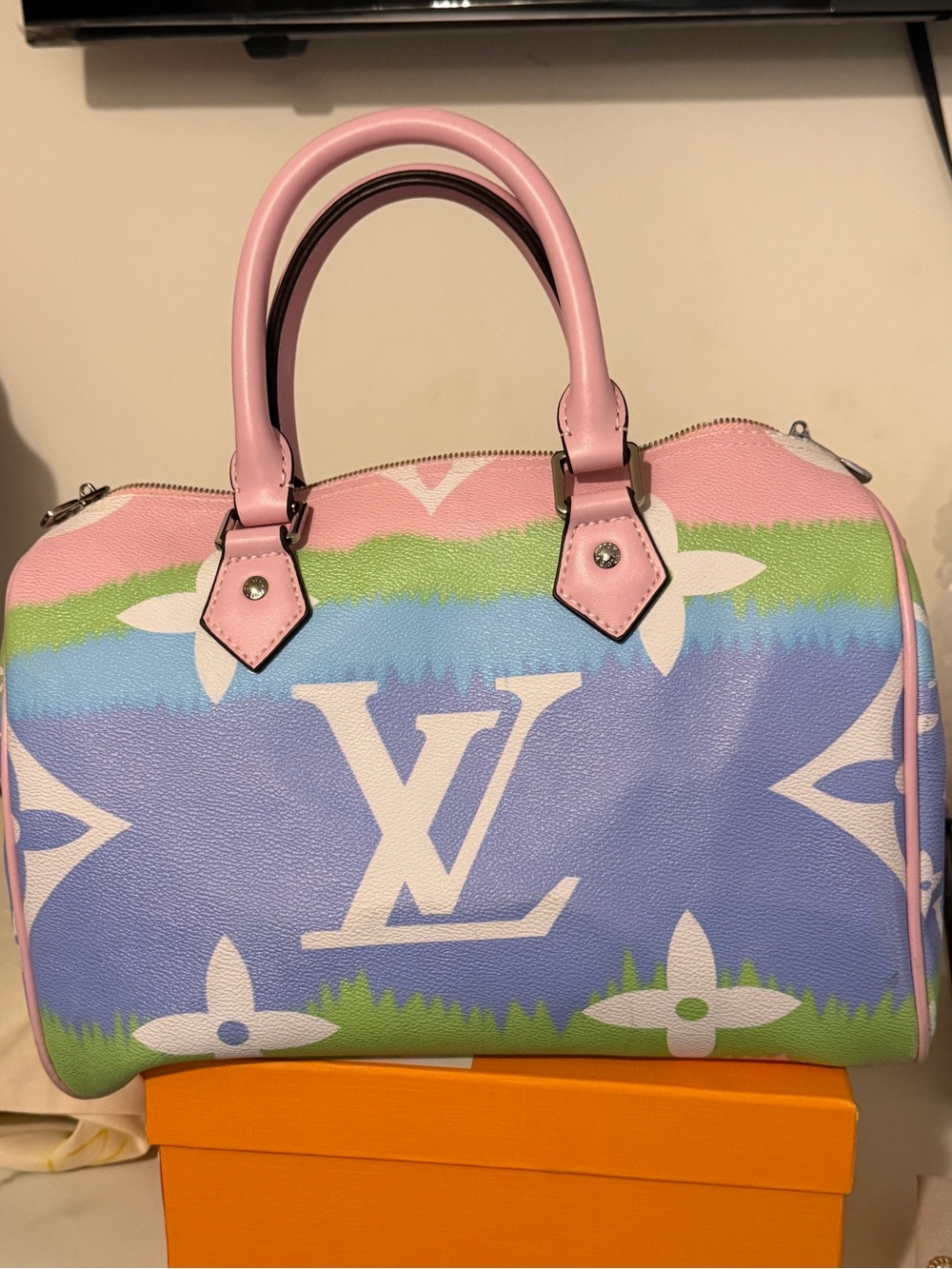 Pastel Monogram Canvas Speedy Bag in Pink & Blue